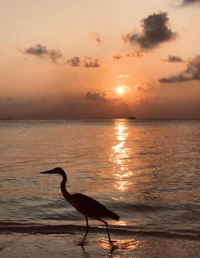 Aqua Sunset Hotell Gulhi Eksteriør bilde