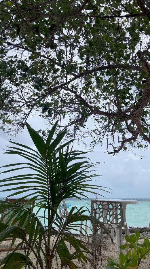Aqua Sunset Hotell Gulhi Eksteriør bilde